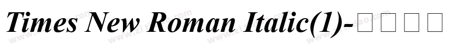 Times New Roman Italic(1)字体转换